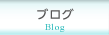 ブログ(Blog)